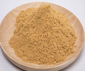 �ۺ������F ���۠����w���